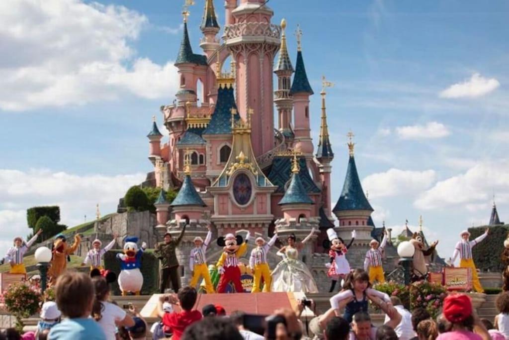 Lovely Apartment Betwen Paris And Eurodisney Nogent-sur-Seine Eksteriør bilde